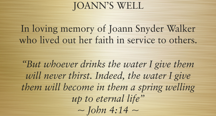 Read more about the article Joann’s Well